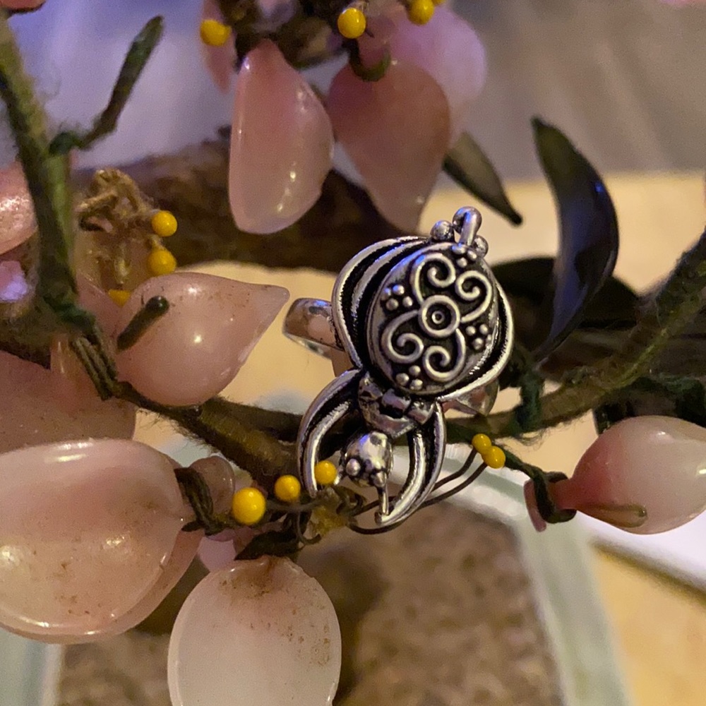 Vintage 925 Egyptian poison  ring